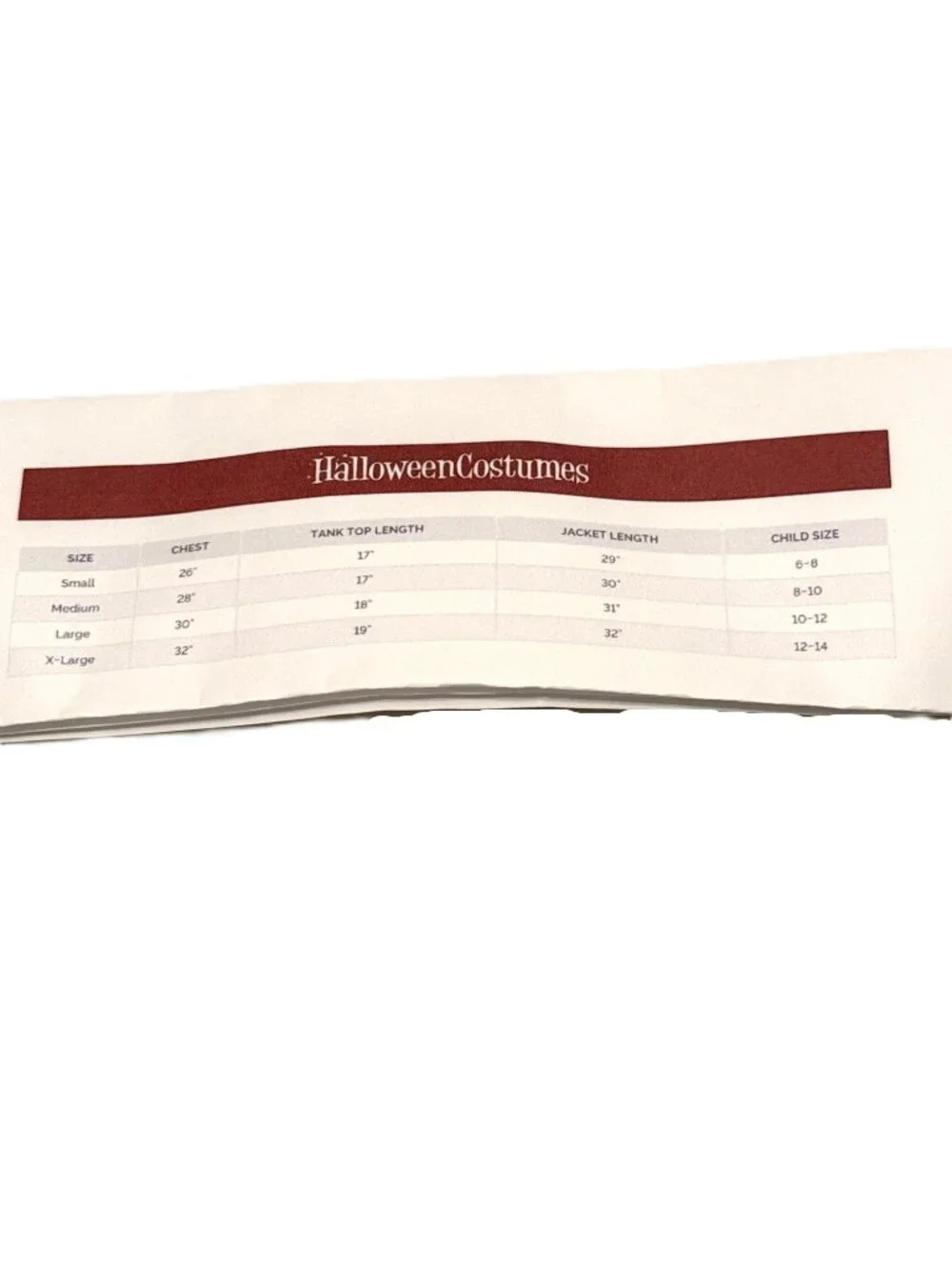 Pirate High Seas Captain Girls Costume Small (6-8) Halloween Swashbuckler Parrot
